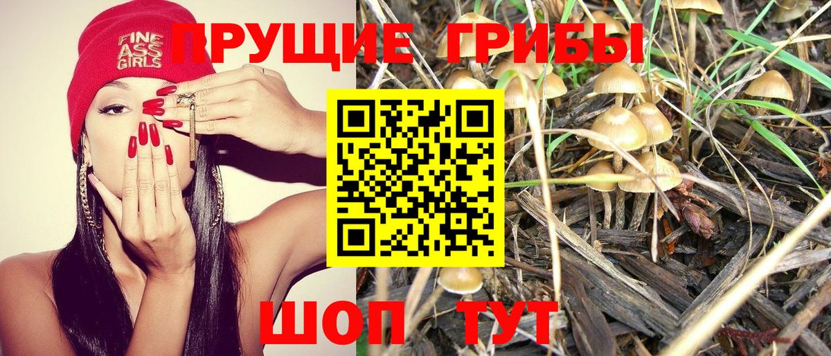 цена наркотик  Галлюциногенные грибы ЛСД  Сатка  Вход с VPN  Псилоцибиновые грибы Psilocybe 