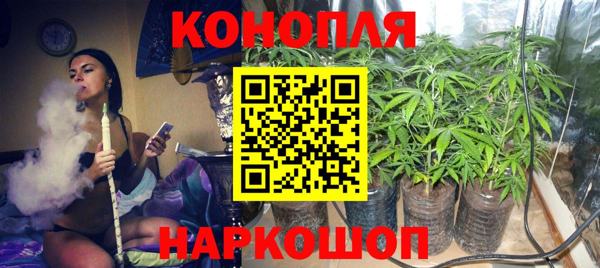 Шишки марихуана сатива  Вход с VPN  Бошки Шишки тримм  Сатка 